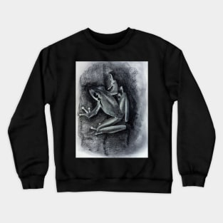 Tree Frog - Drawing by Avril Thomas South Australian Artist Crewneck Sweatshirt